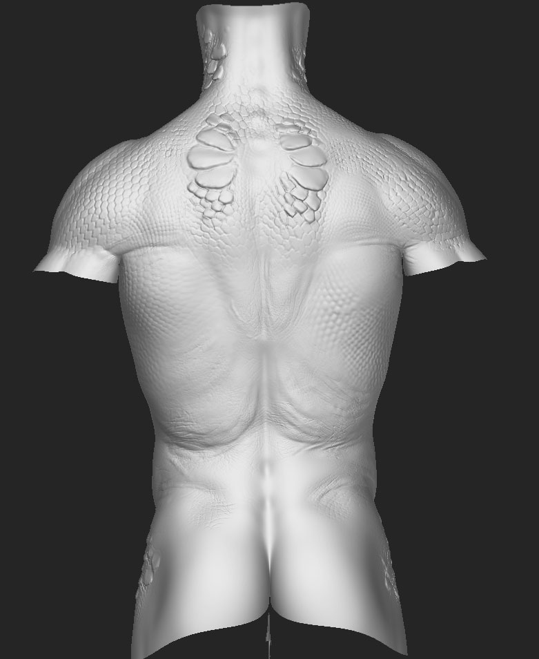 ztorso01.jpg