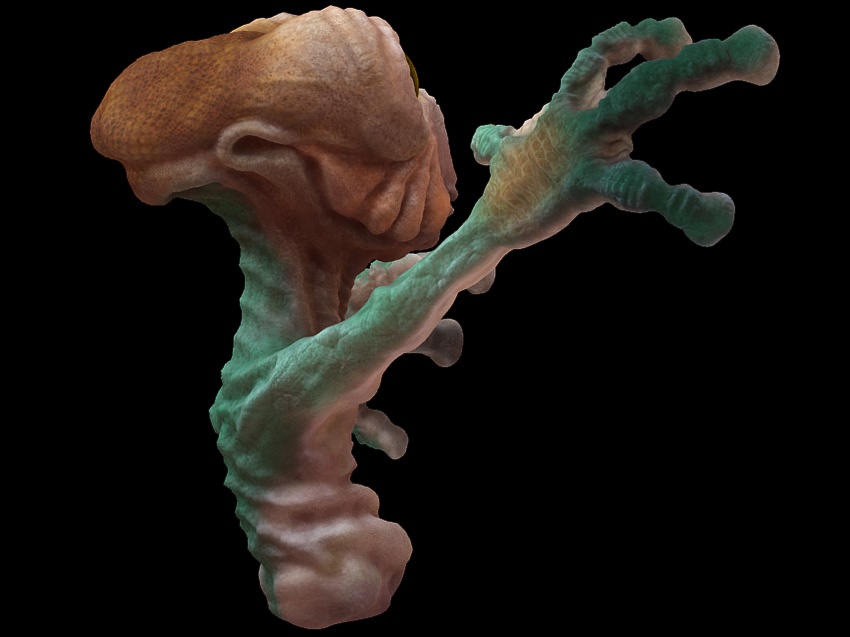 skin shader test2.jpg