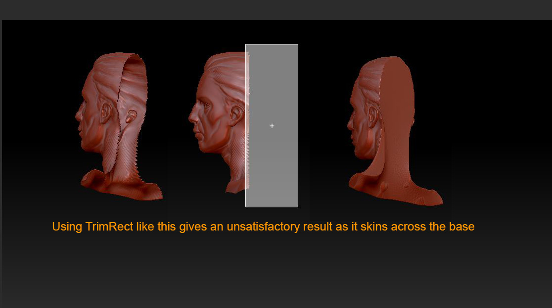 TrimRect-pic01.jpg