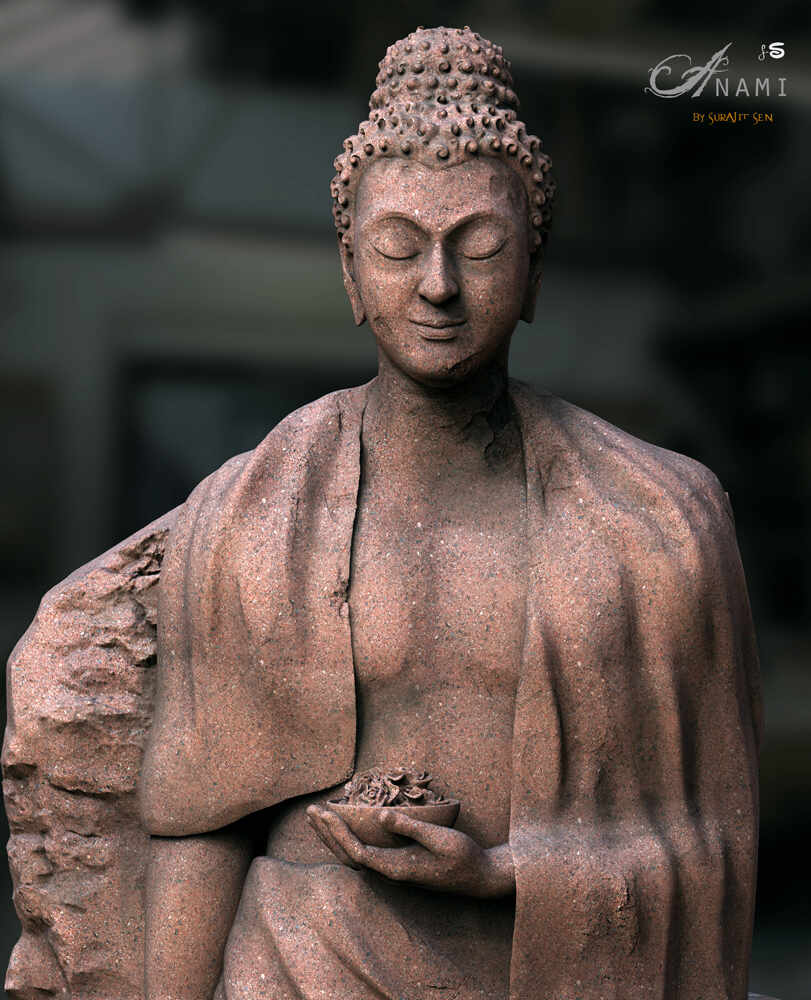 Anami_Digital_Sculpture_Feb2022_Surajit_Sen_L