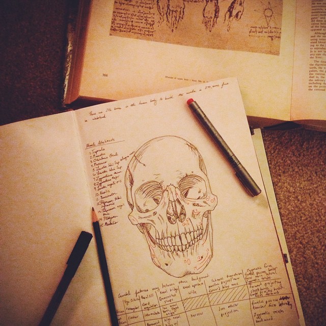 anatomy_notebook_Sabella_1.jpg