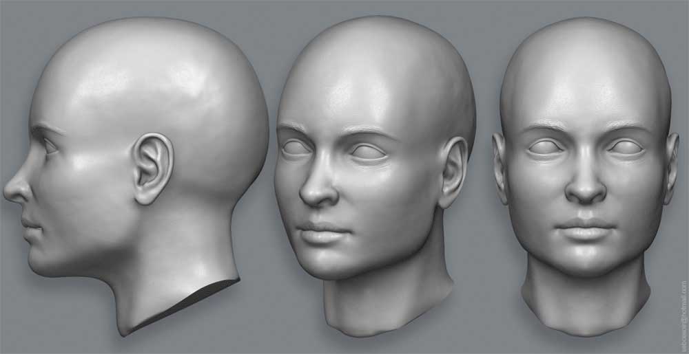 head3.jpg