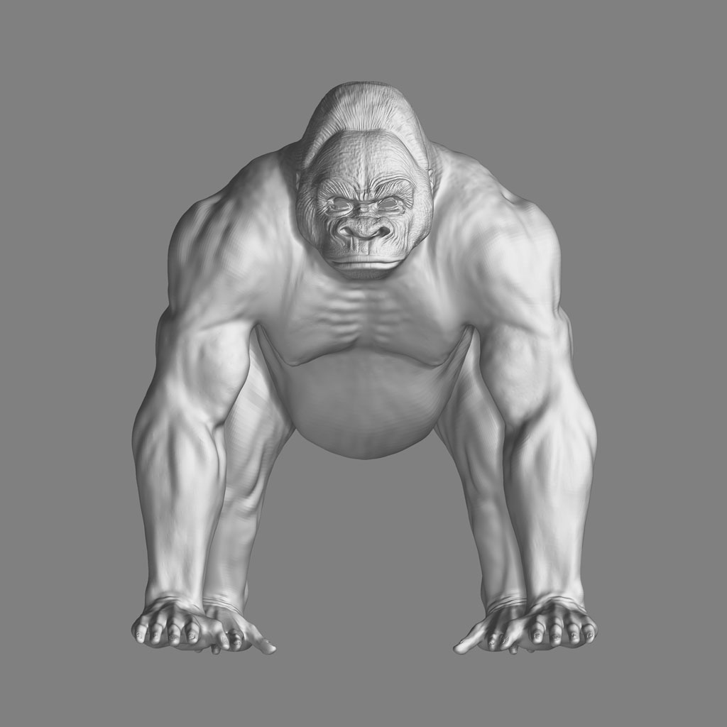 goriman_front.jpg