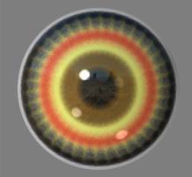 A1 Eye.jpg