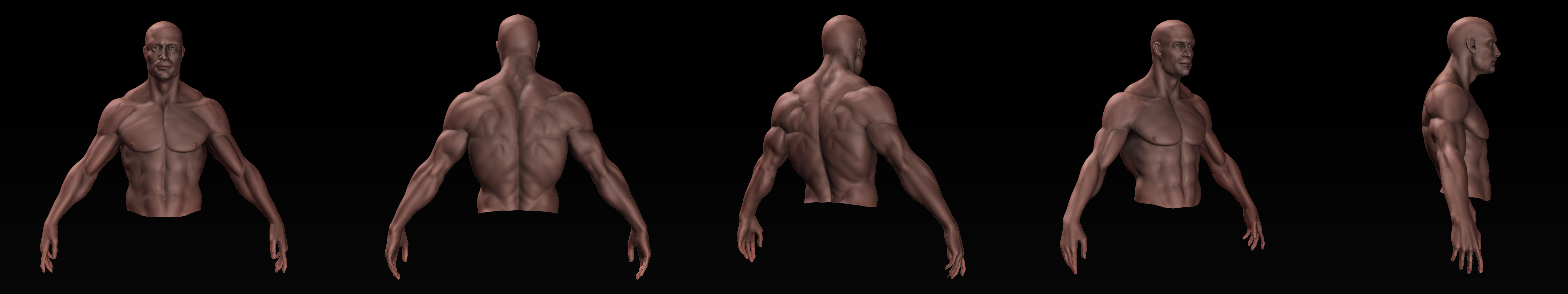 character_sheet_upper-body.jpg