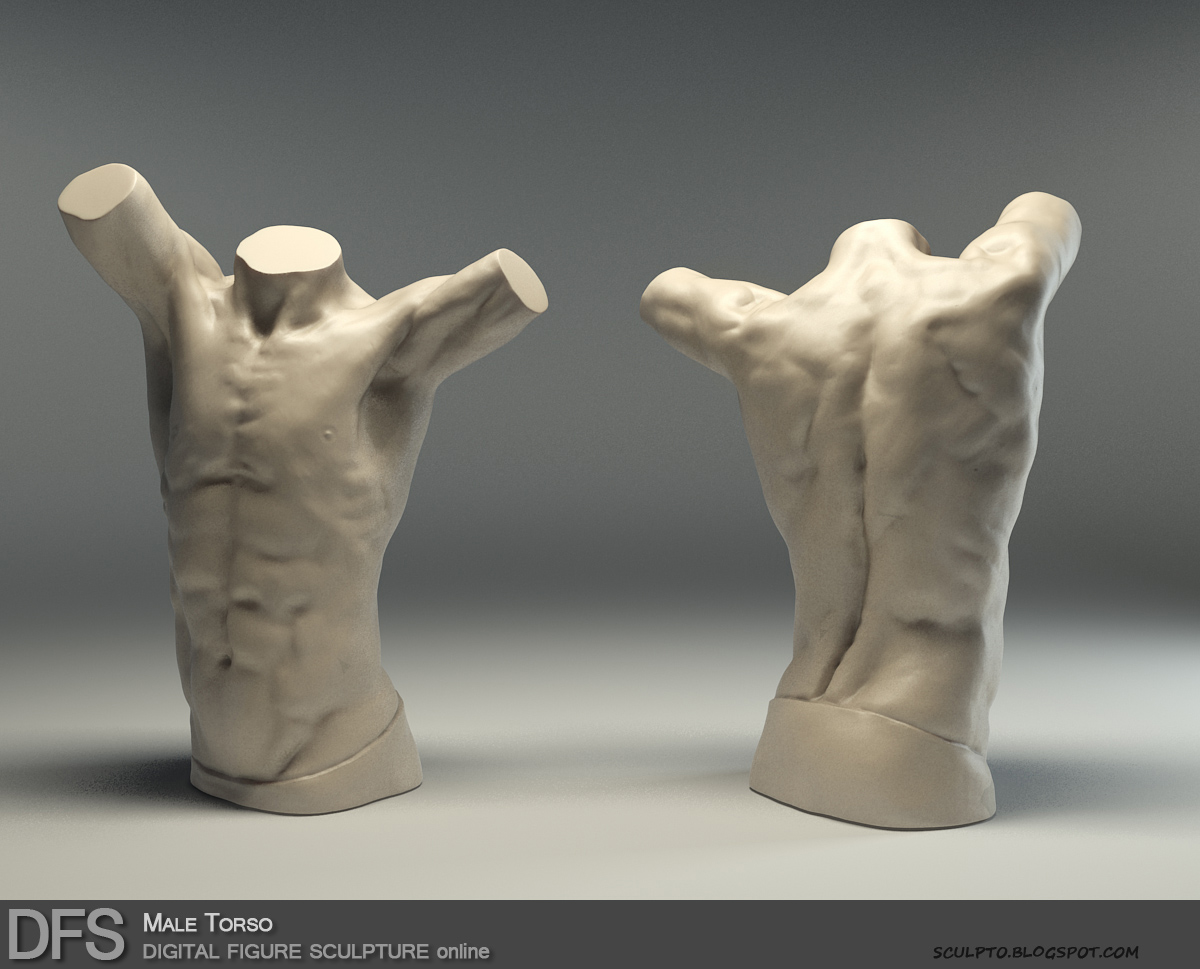 DFS Male Torso_sm.jpg
