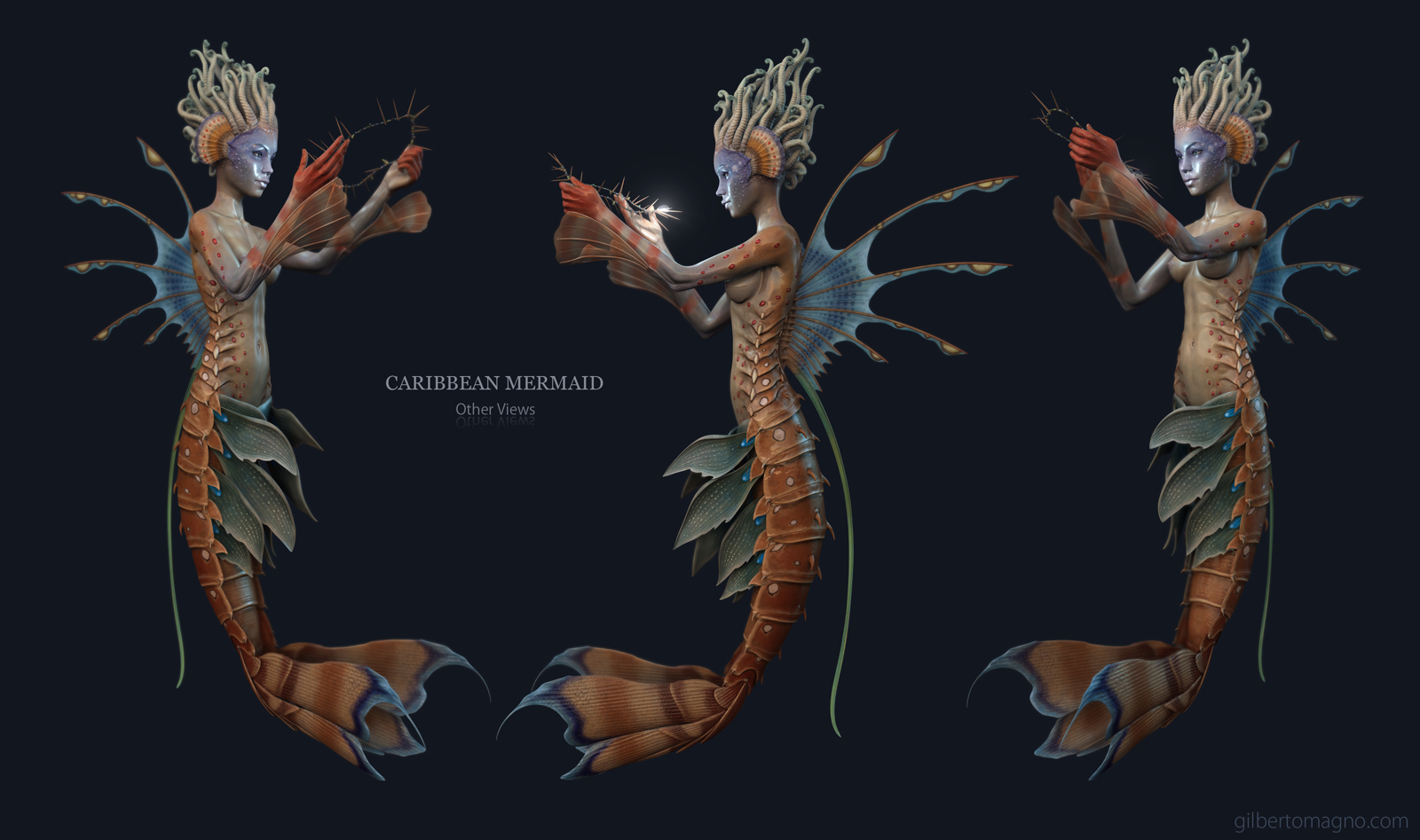 mermaid_views.jpg