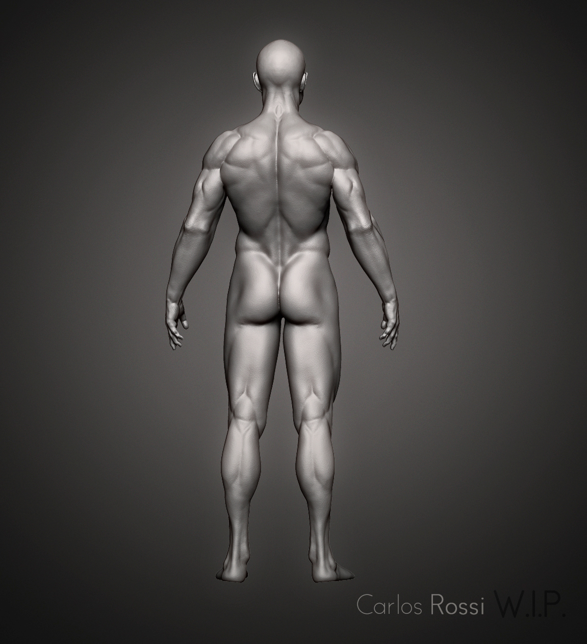 ManBack.jpg