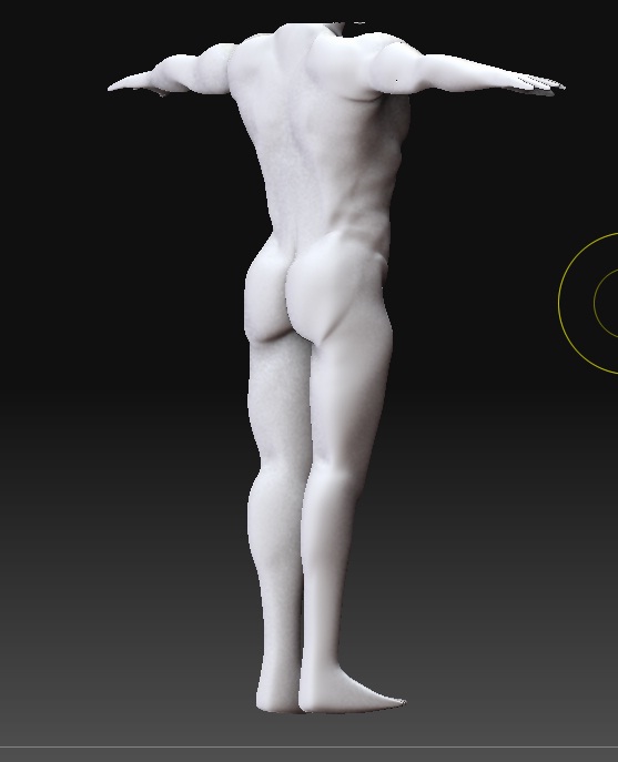 male_body1.jpg