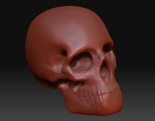 skull2.jpg