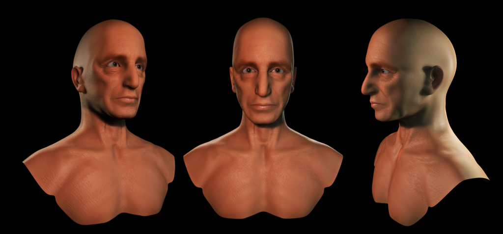 wip6.jpg