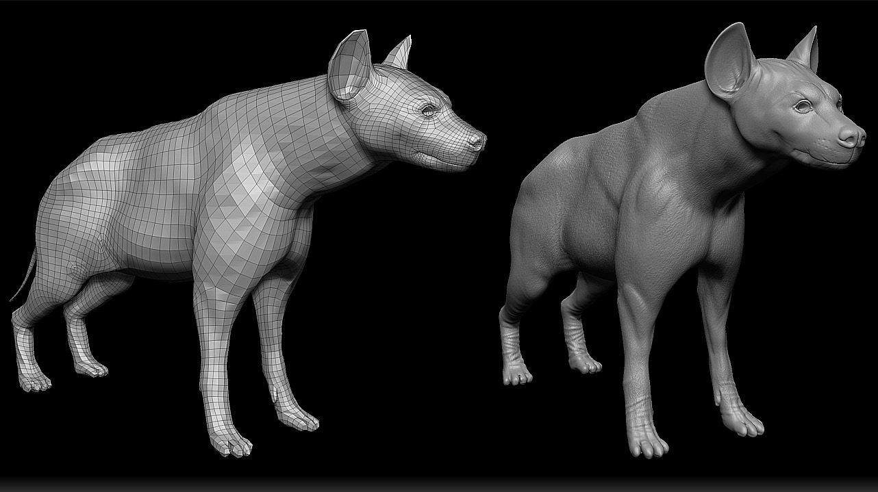 hyena_poly.jpg
