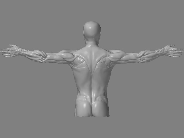 Back.jpg