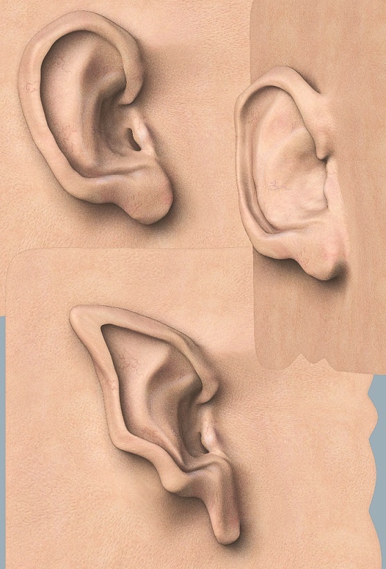 ear_pic.jpg