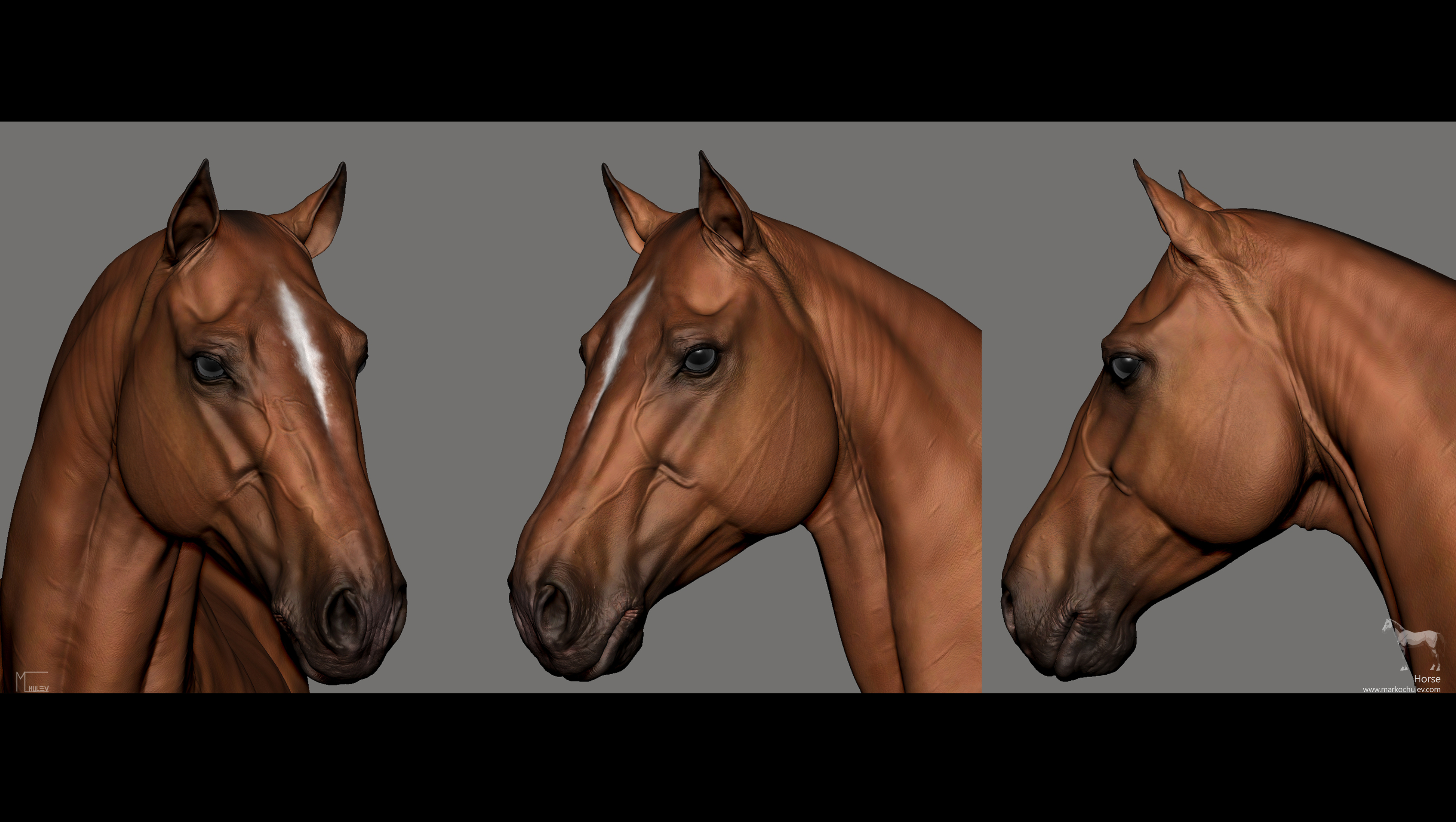 horse mane brush zbrush