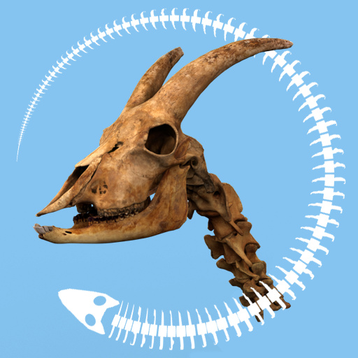 Vertebrates_icon