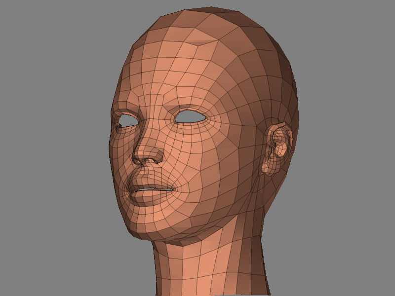mesh.jpg