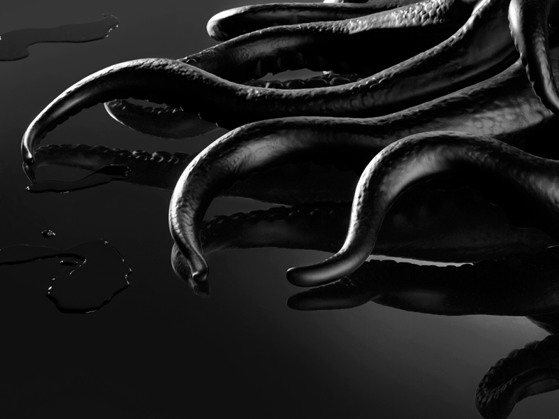 alonsovarela_octopushair_05.jpg