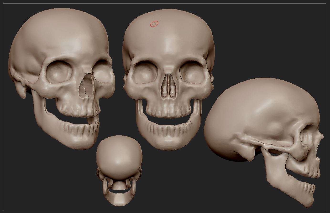skull.JPG
