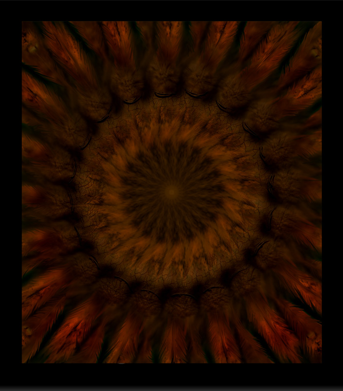 FEATHERED MANDALA 8.jpg