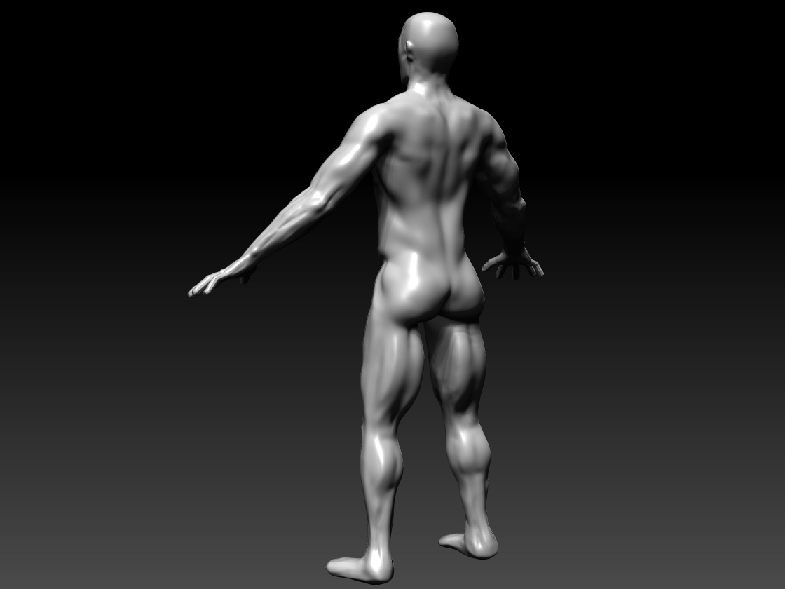 FullBodyBack.jpg
