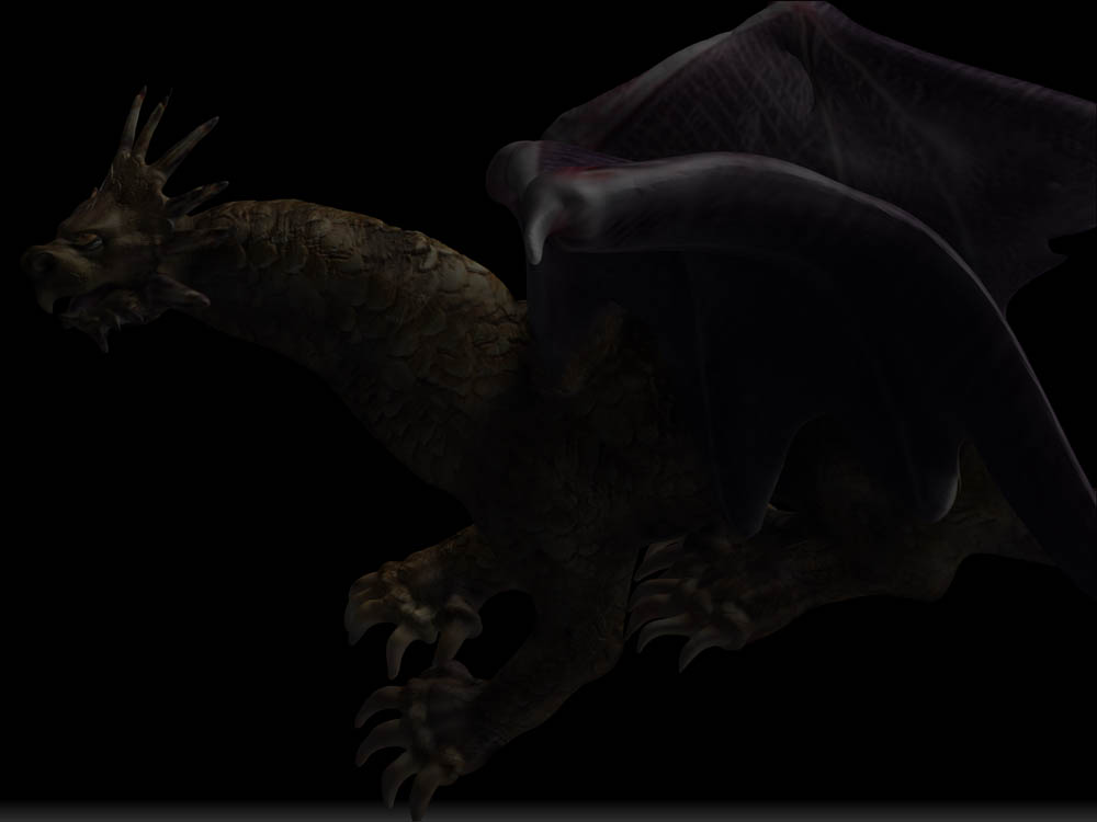 DRAGON SPOTLIGHT 16.jpg