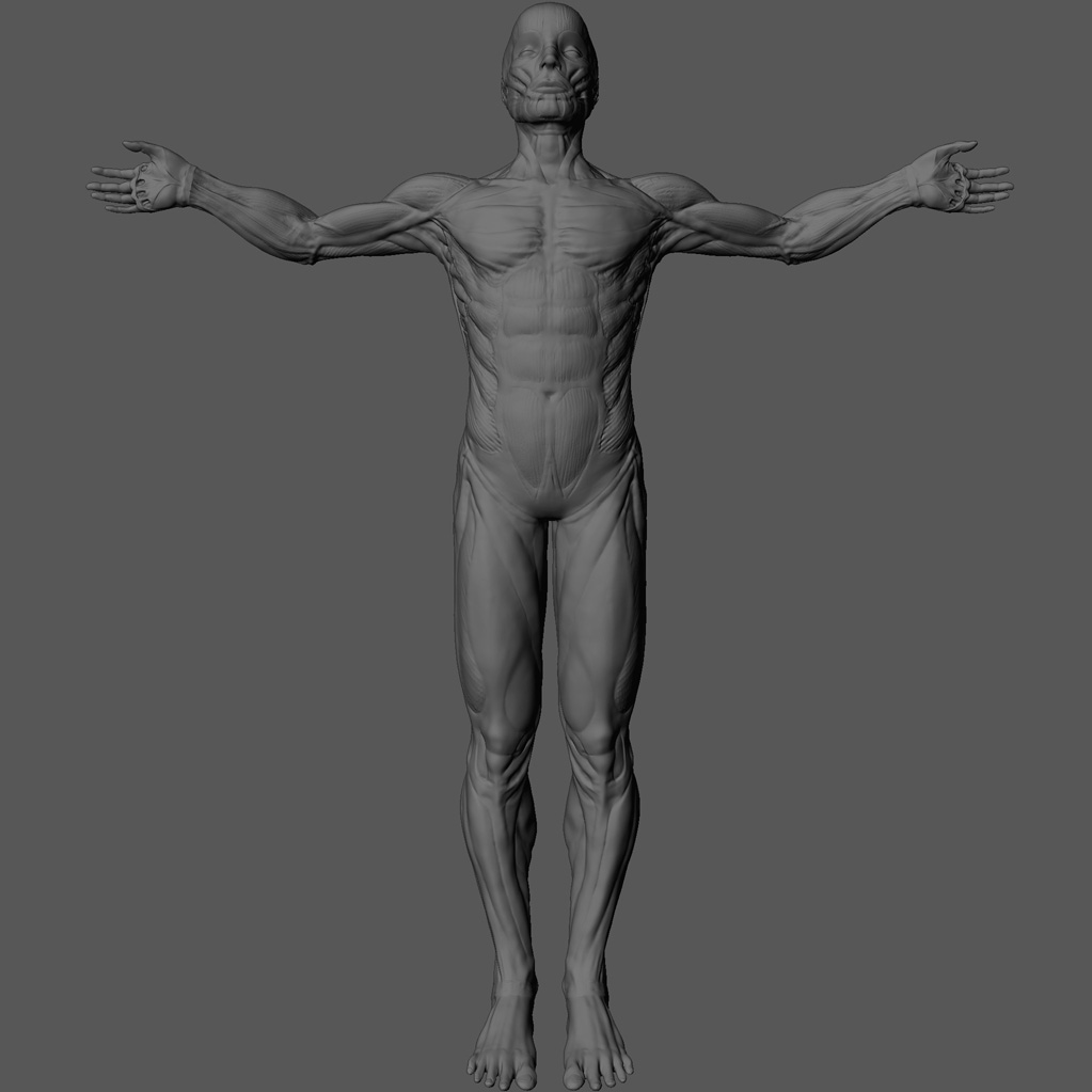 02Front.jpg