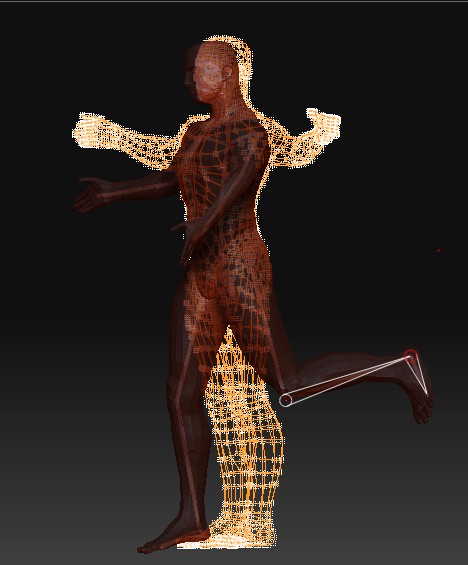 zbones2.jpg