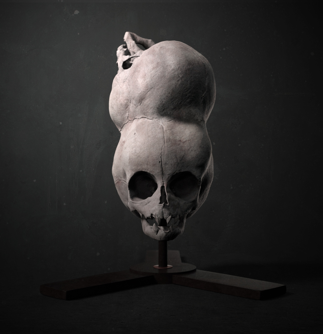 Boy-of-Bengal_Render-03.jpg