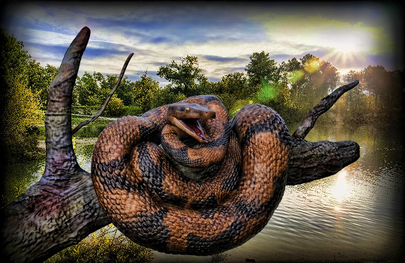 untitled.85.jpg