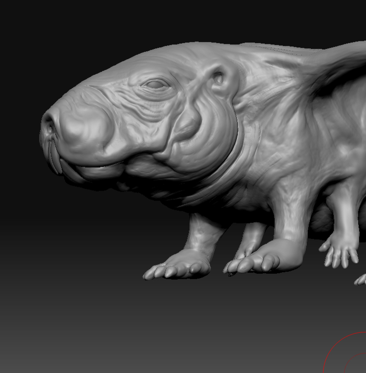 SandPuppyProgress_16.jpg