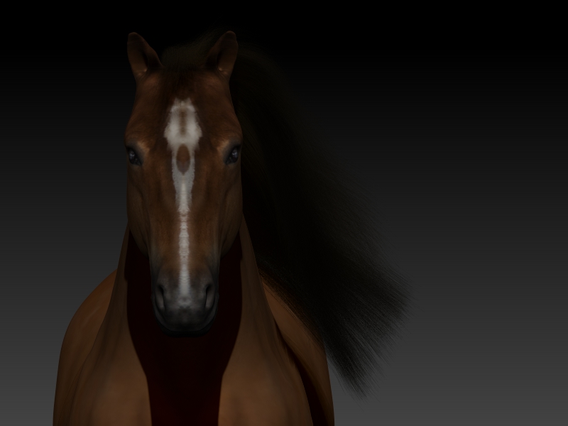 Full%20Horse%20%20(6)