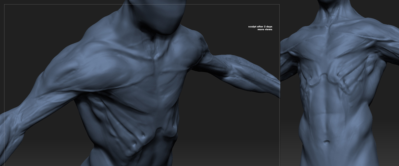 beesub_WIP_sE.jpg