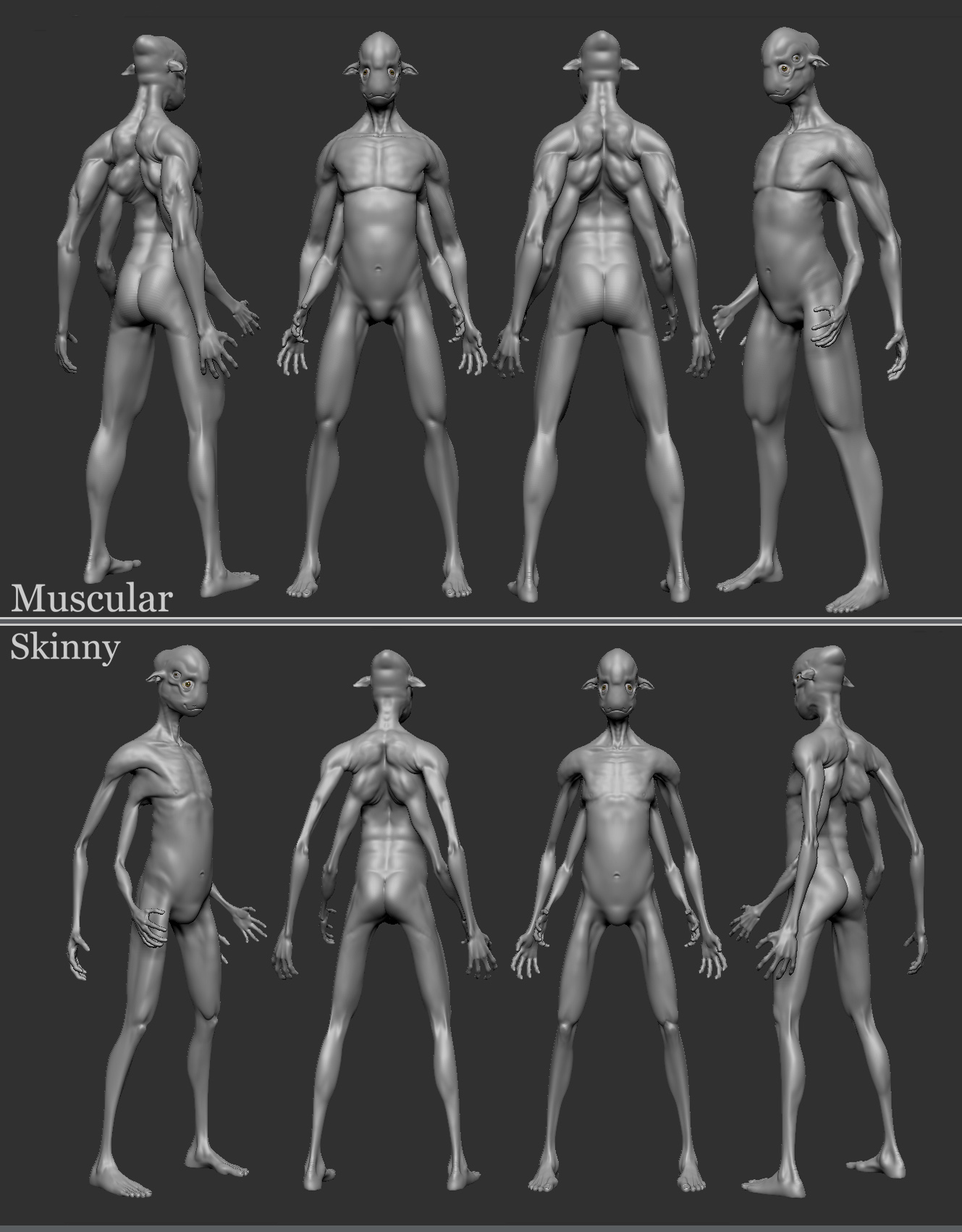 skinny&musclesm.jpg