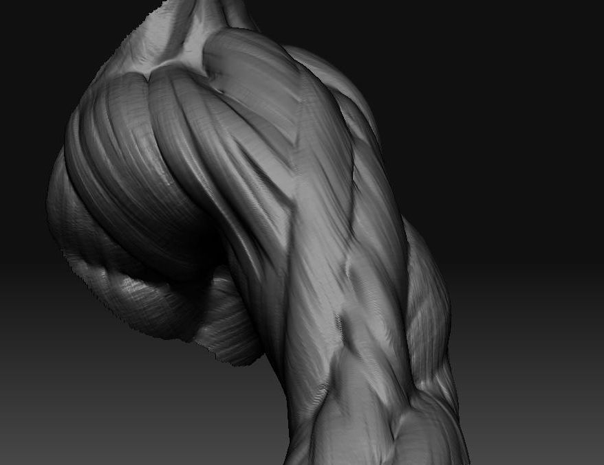 arm.JPG