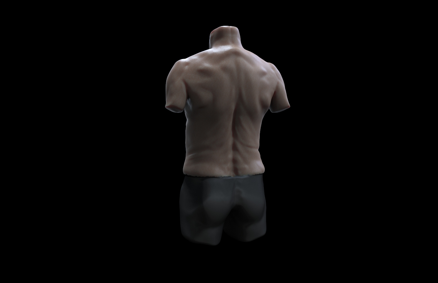 ALterMannTorso.13.jpg
