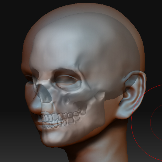 quinneskull03.jpg