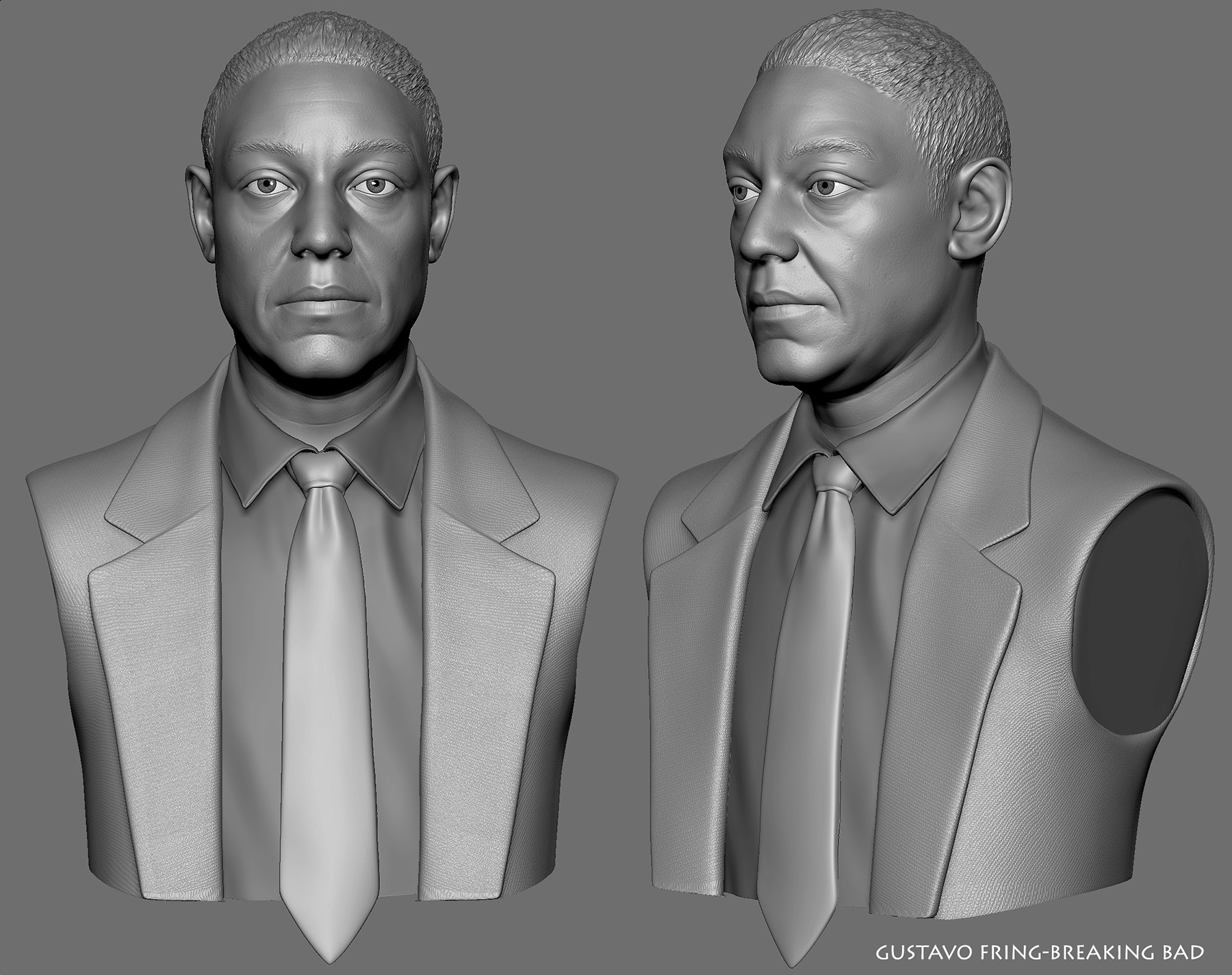 gus_fring_bust1.jpg