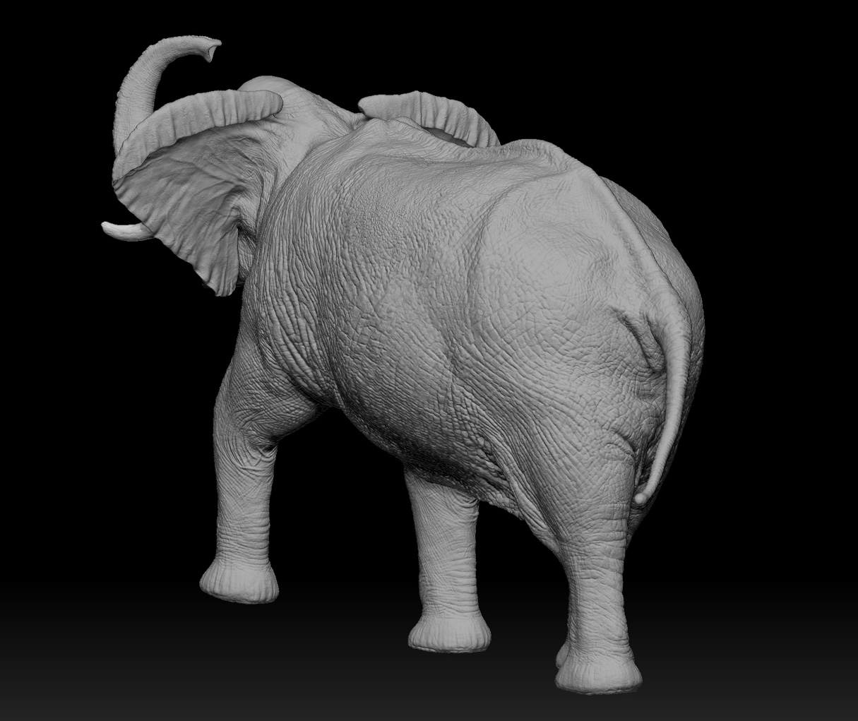 elephant_06.jpg