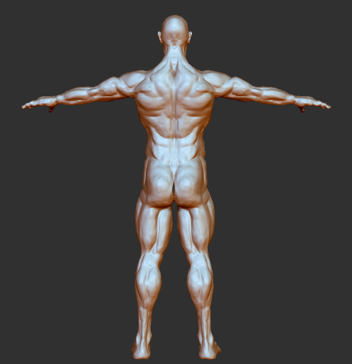 back1.jpg