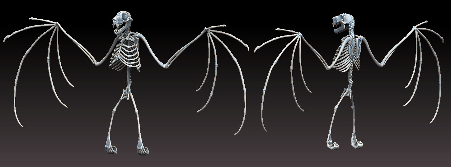 Bat-Skeleton-Open-Wing