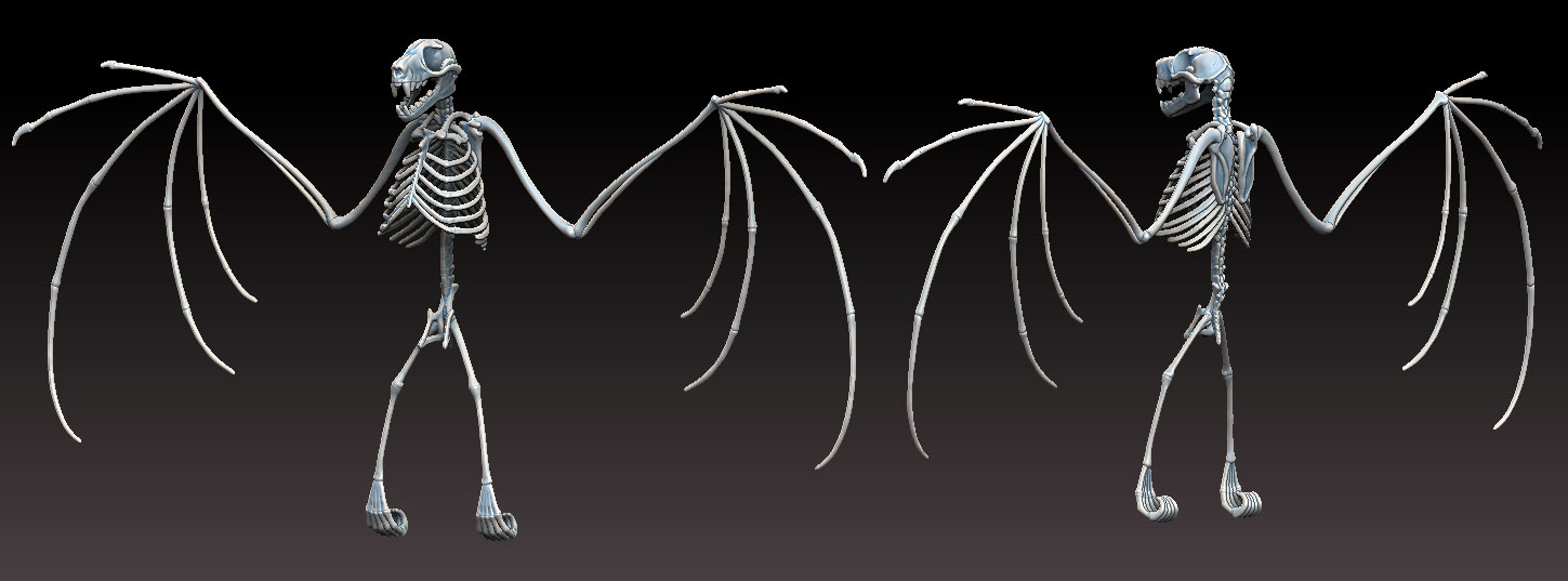 Bat-Skeleton-Open-Wing