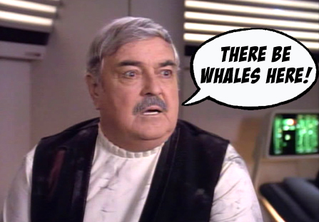 Whales.jpg