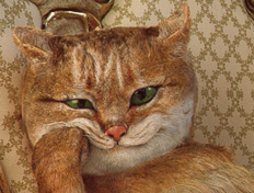 cat_thumb.jpg