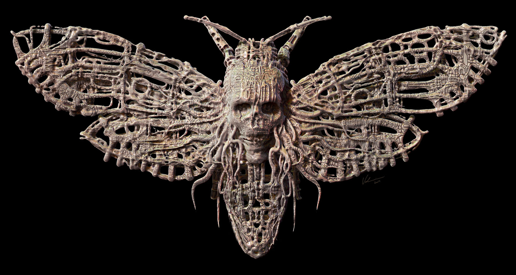 acherontia-II.jpg