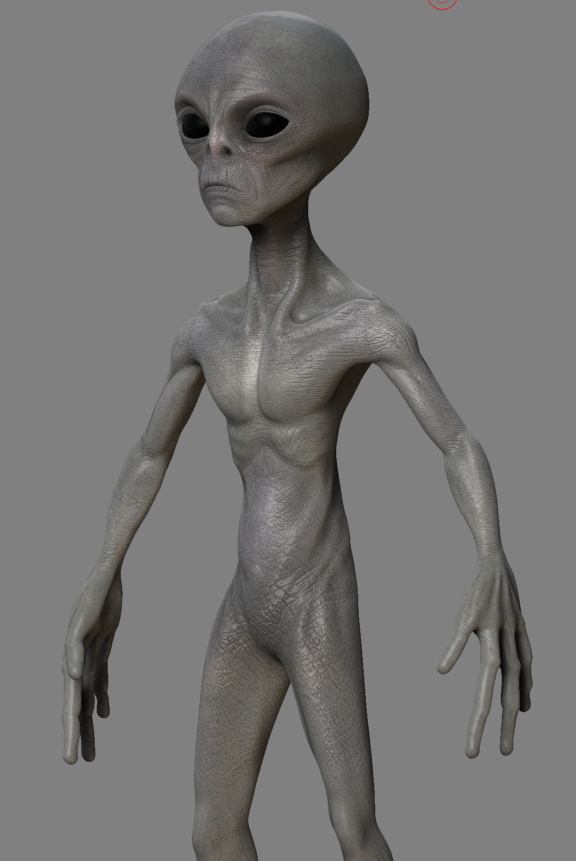 Wip14.JPG