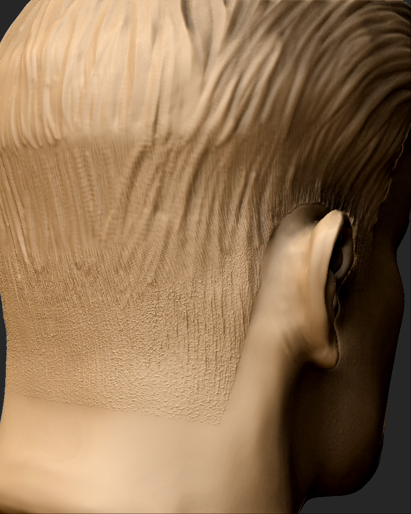 HairBackt.jpg