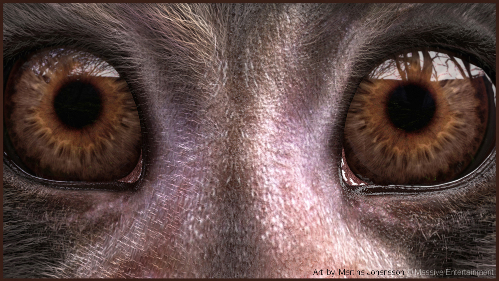 marmoset_8_r.jpg