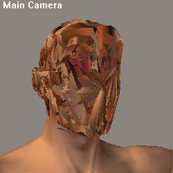 headmt.jpg
