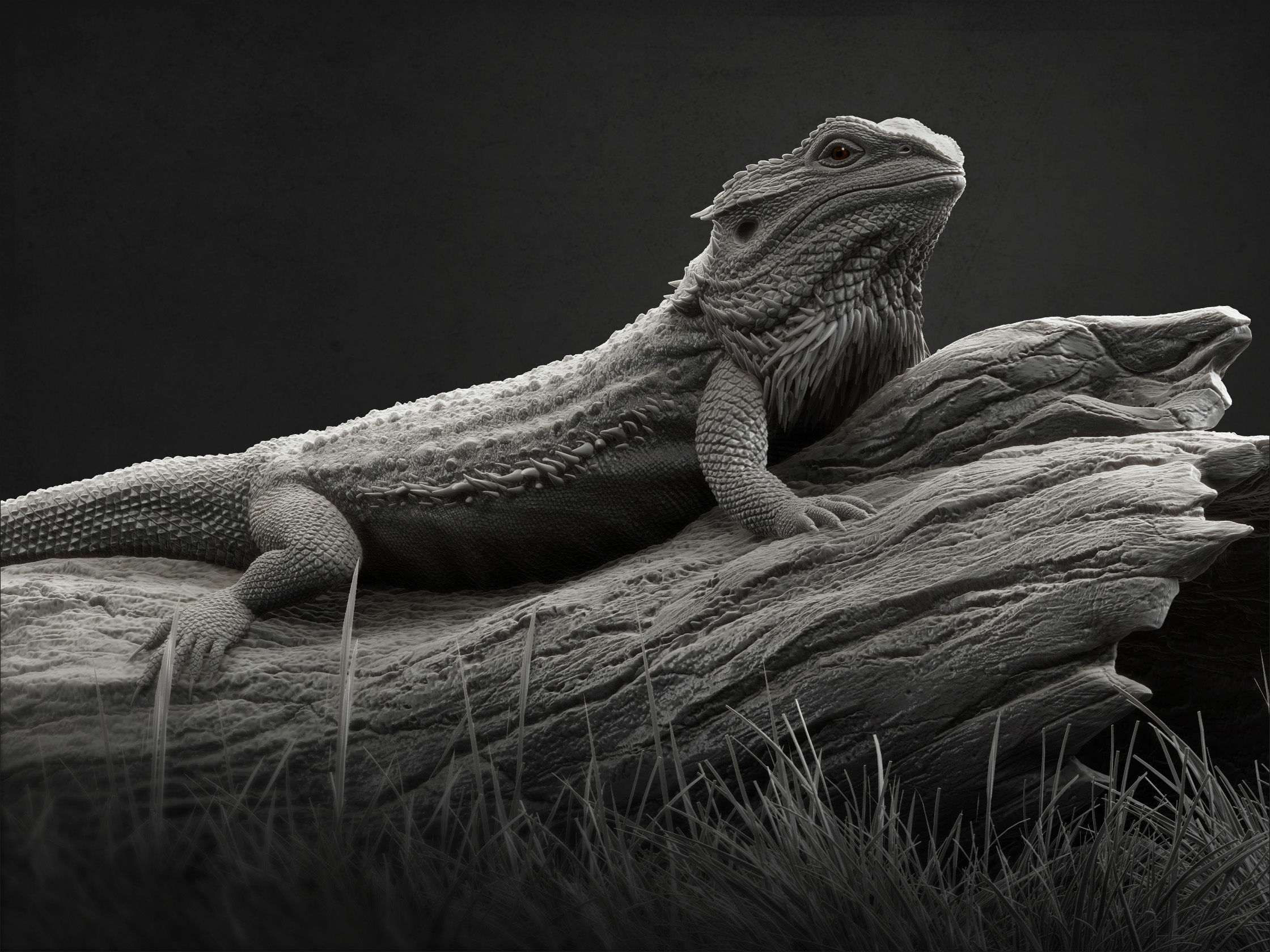 Final render 1.jpg